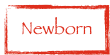 Newborn
